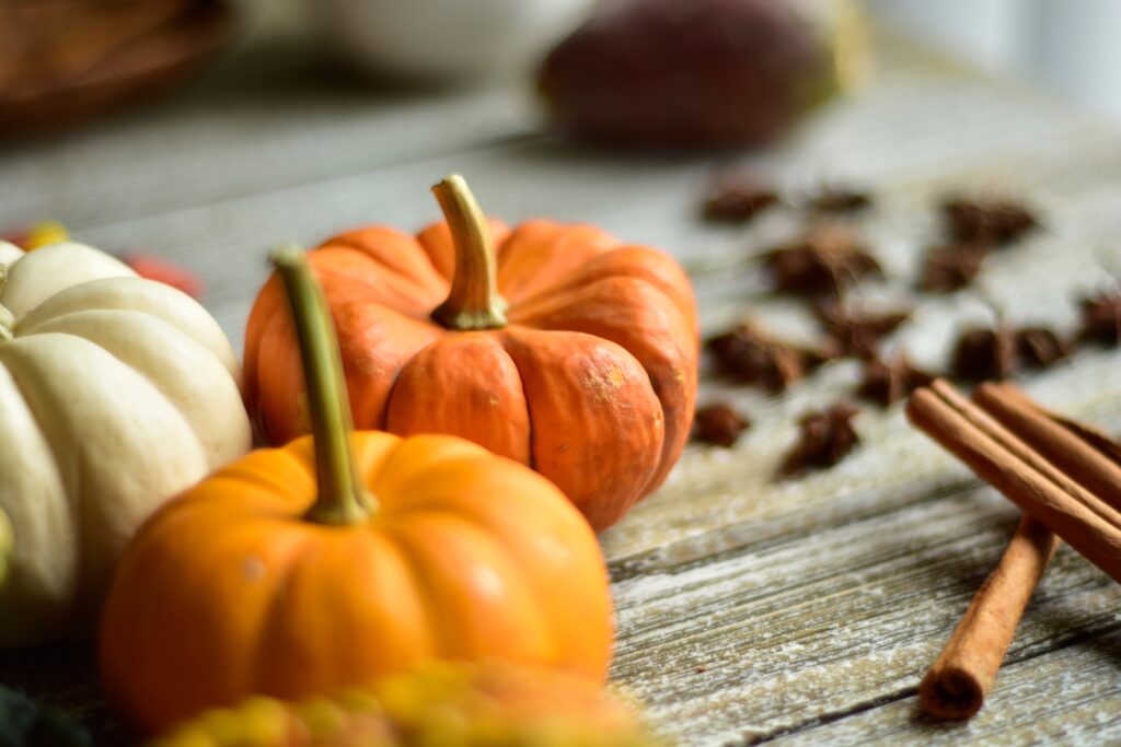 the-october-harmony-a-seasonal-gin-recipe-to-welcome-autumn